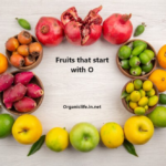 fruits start with O