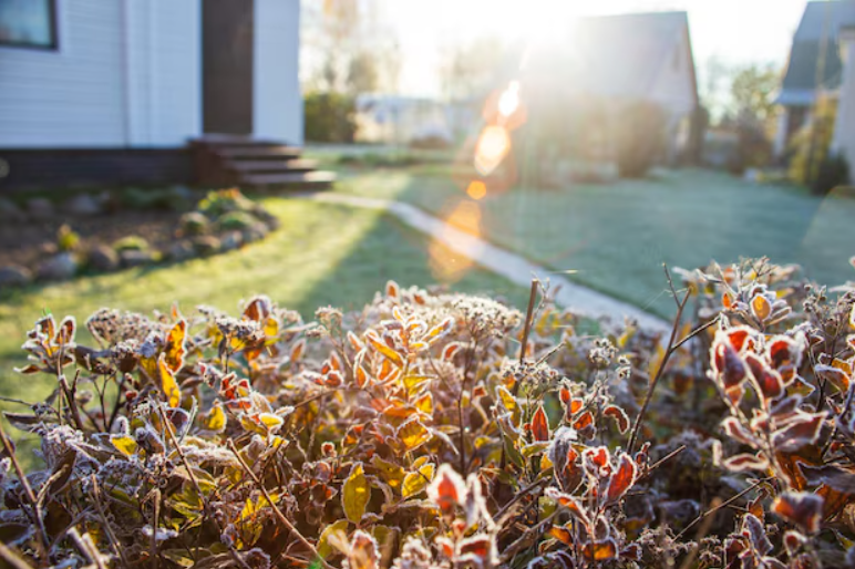Guide to Raised Garden Bed Winterisation