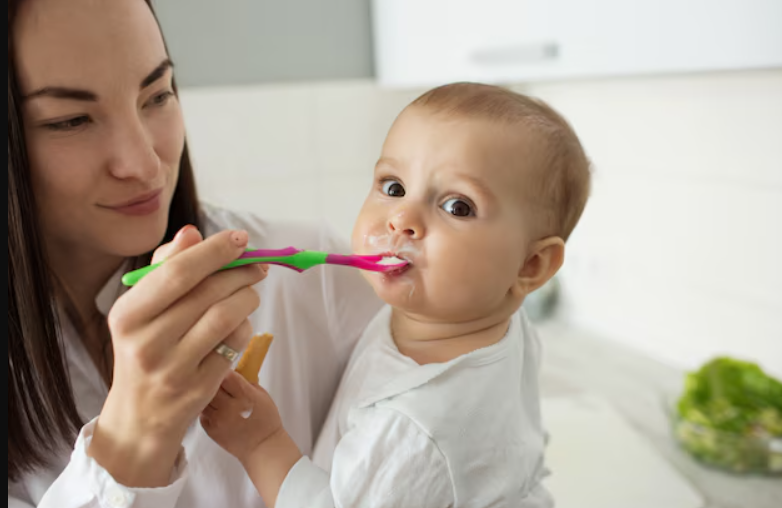Organic baby food recipes for 6-month-old